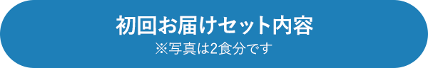 初回お届けセット内容