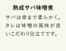 熟成サバ味噌煮