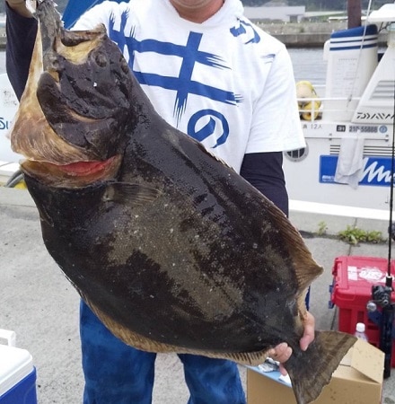 白身魚の昆布〆