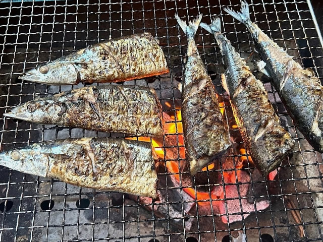 三陸の秋漁