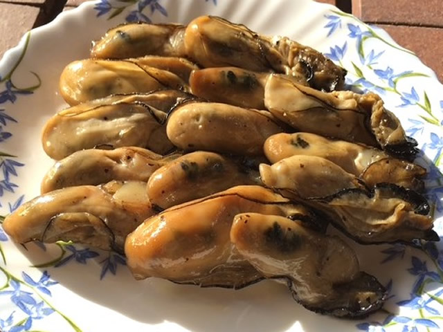 これからが美味しい「カキ」