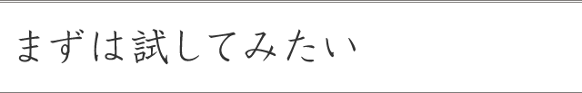 まずは試してみたい