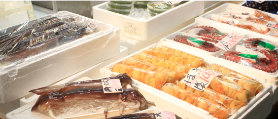 三陸の釜石