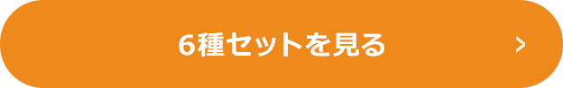 6種セットを見る