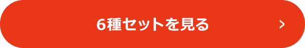 6種セットを見る